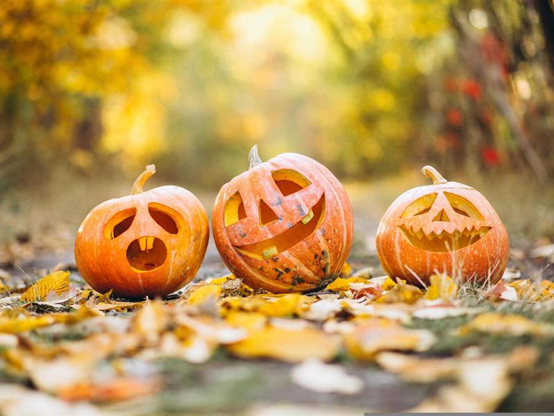 Halloween à Avenheim