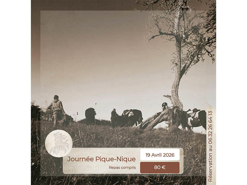 Journée pique-nique à cheval