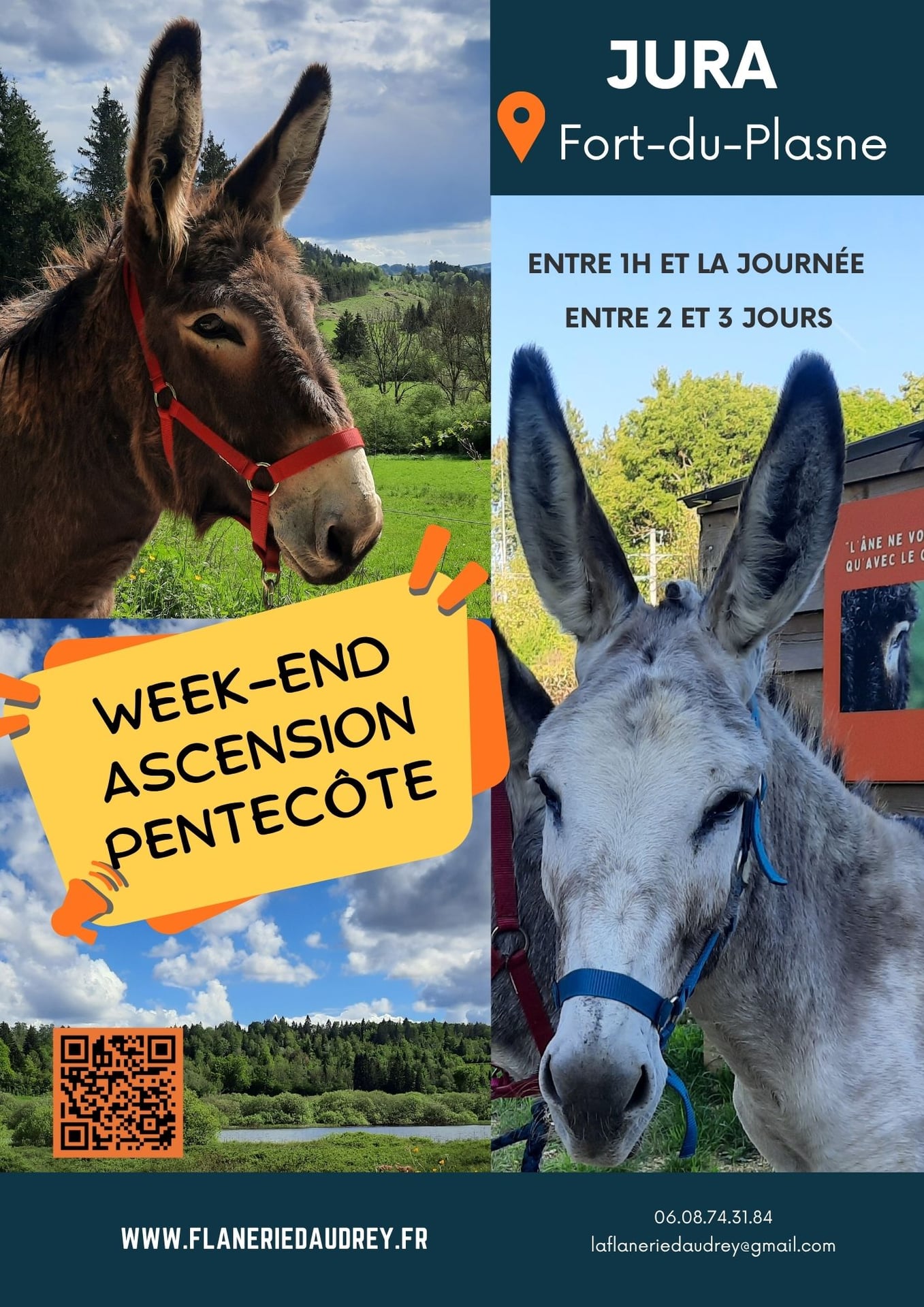 Balade avec les ânes