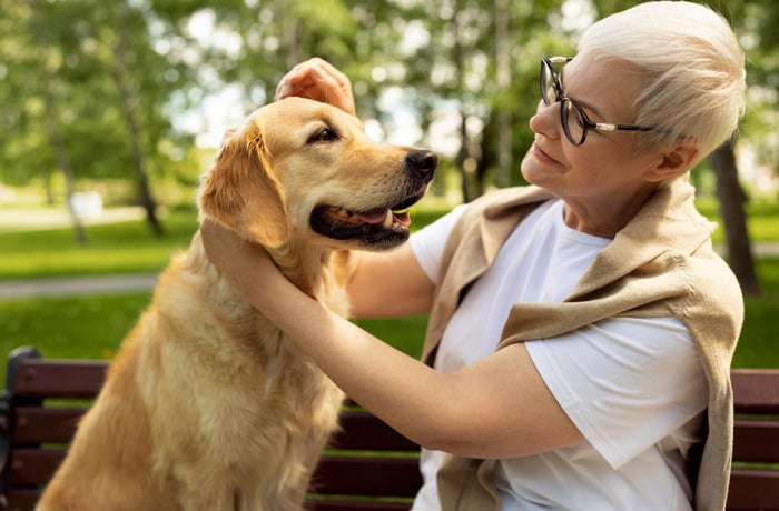 Animation seniors | Médiation animale