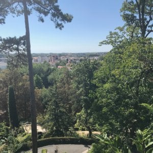 Visite guidée "Niort vu d'en haut"