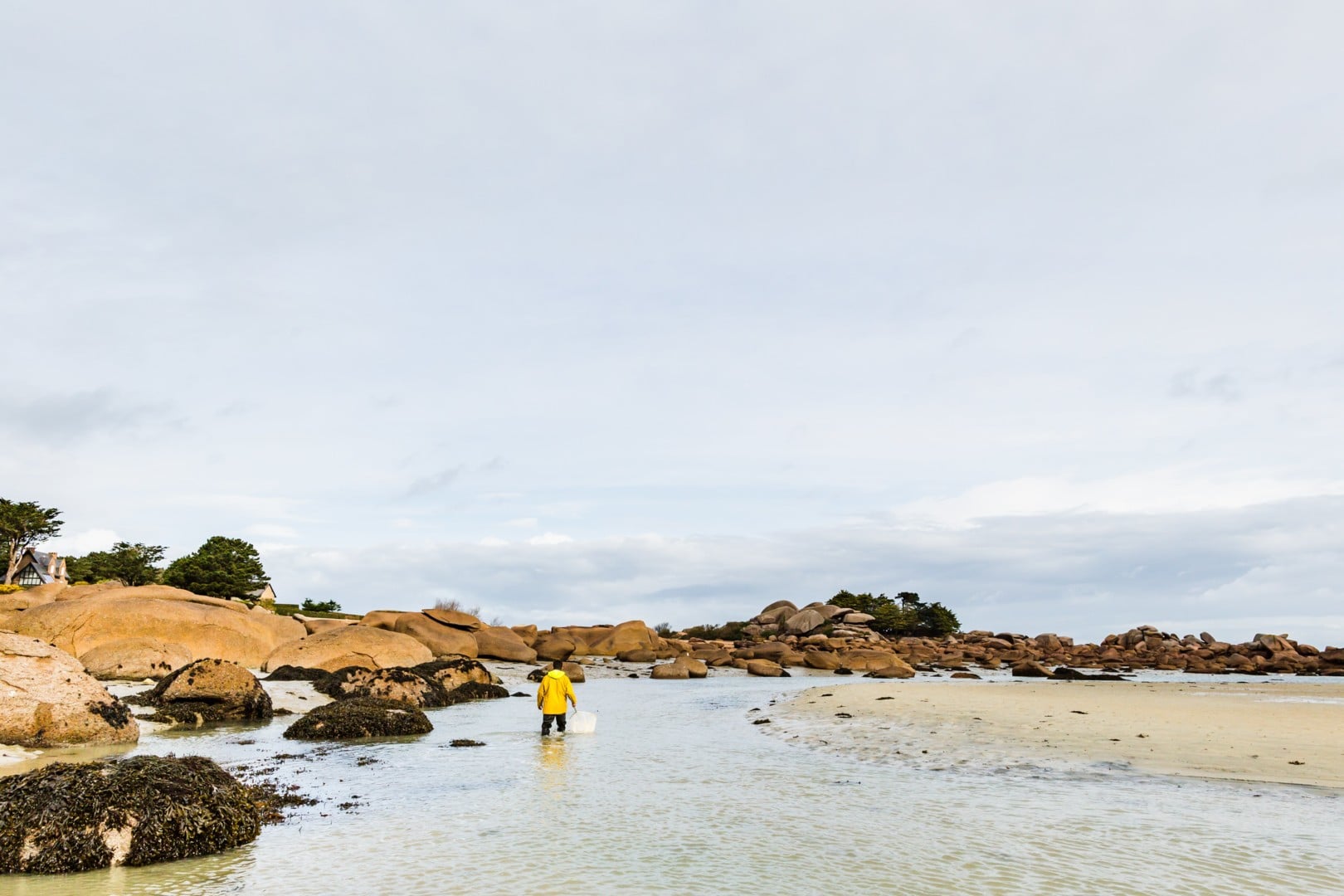 Sortie plage à marée basse