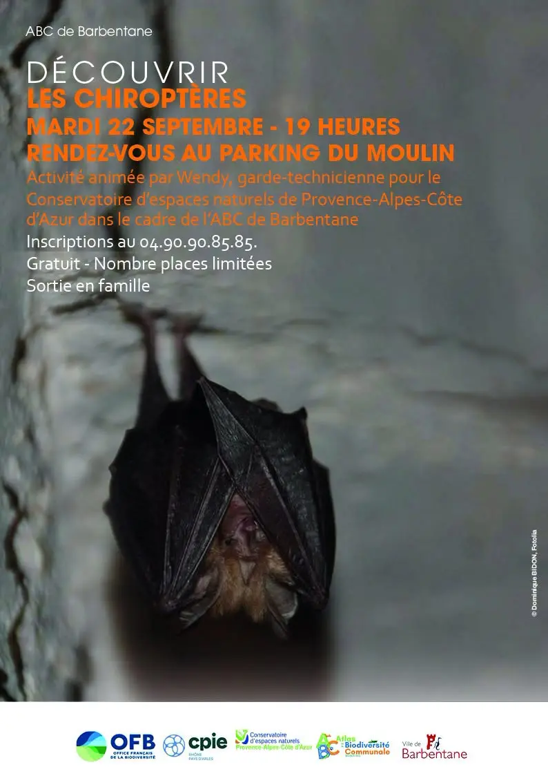 Découvrir Les Chiroptères et Découvrir le Mondes des Libellules