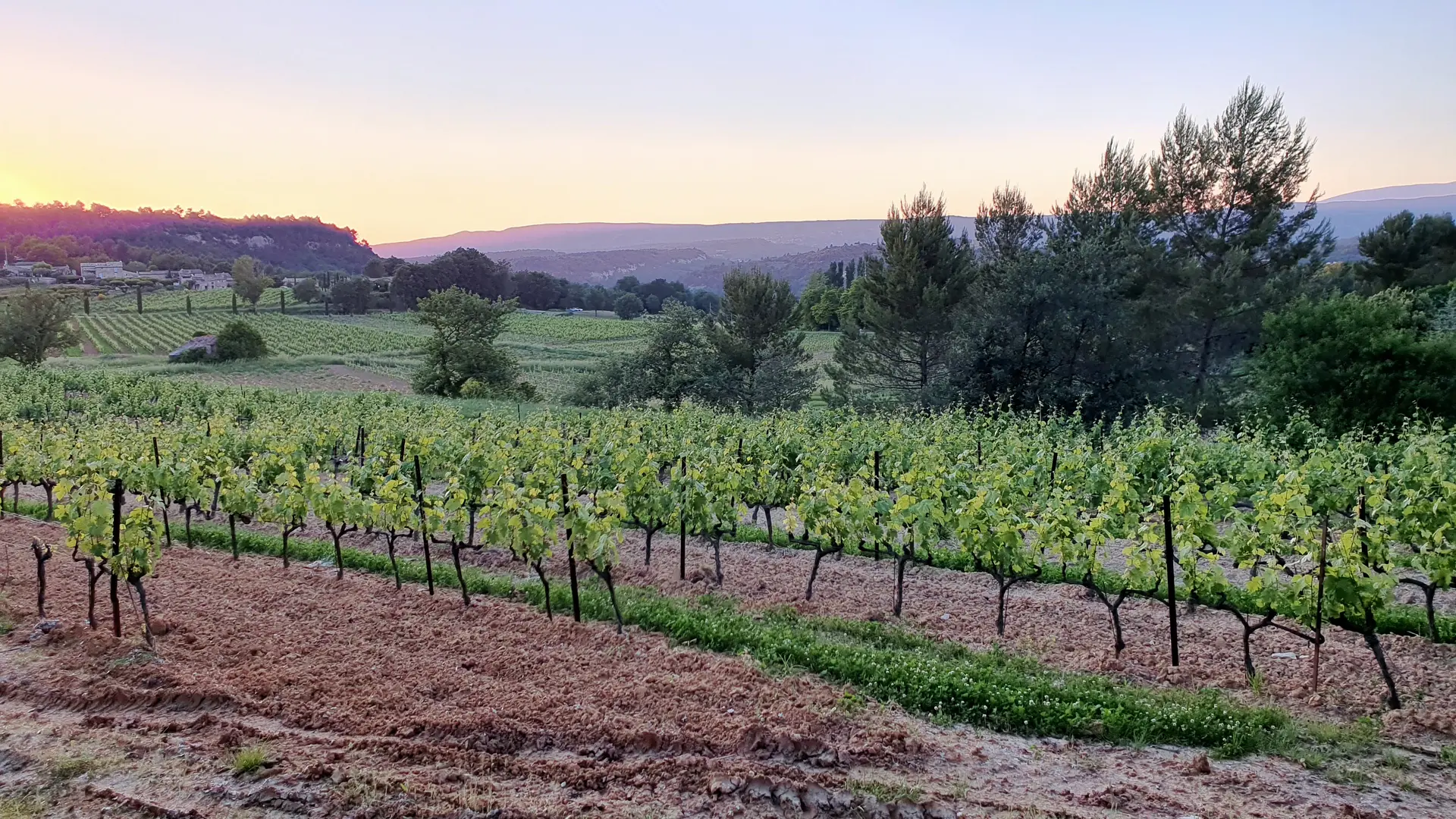 Sunsets Vignerons 2026 au Mas Edem