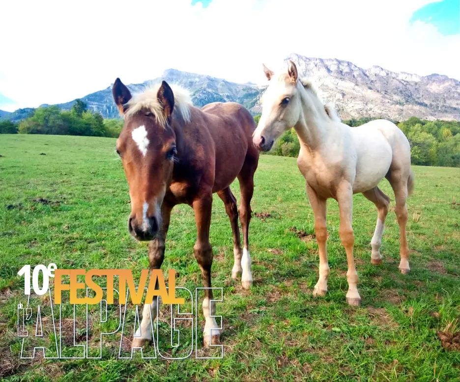 Festival de l'Alpage : Visite de l'élevage Appaloosa Farm