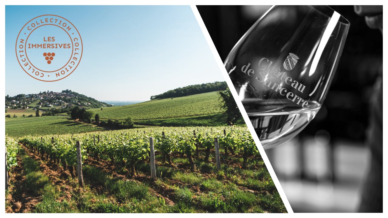 [Vignobles en scène!]: Dégustation verticale de notre cuvée historique: Regards sur l'empreinte des millésimes