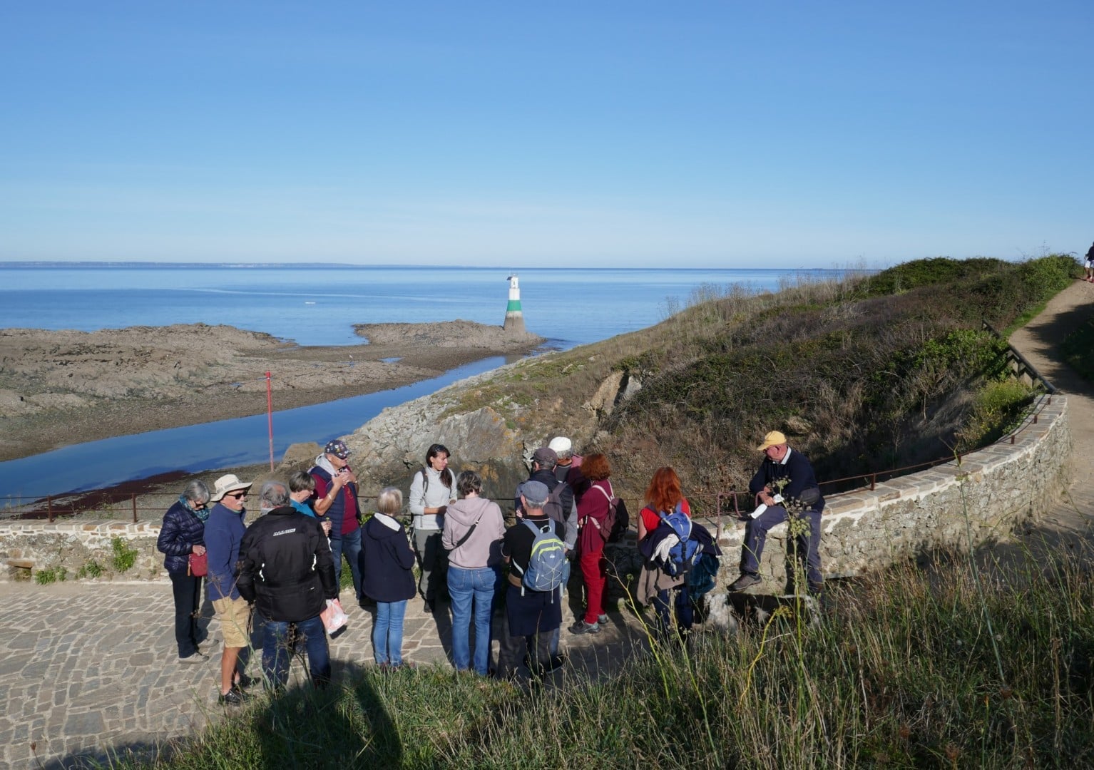 La découverte des plantes comestibles sur le littoral