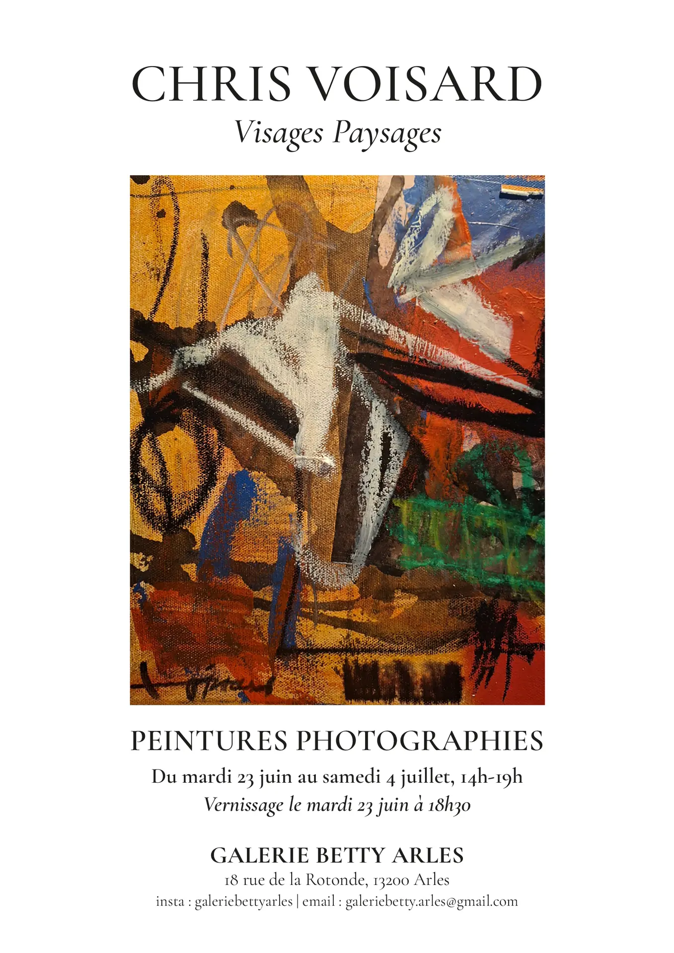 Exposition Chris Voisard