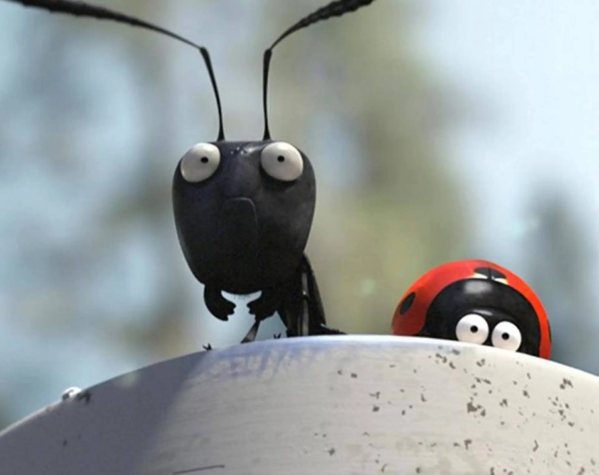 Ciné Lautaret : "Les Écrins en minuscule"