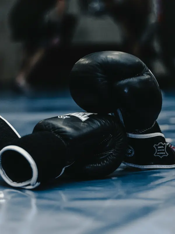 Gala de boxe des 15/16