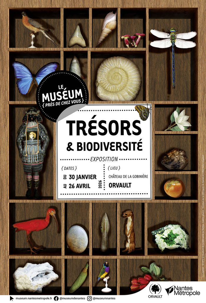 Exposition Trésors & biodiversité à Orvault