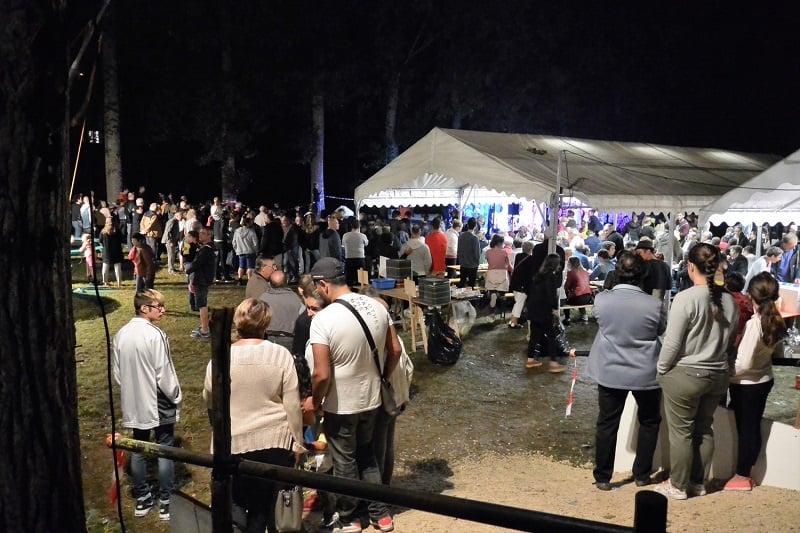 Grand festival de danses des îles