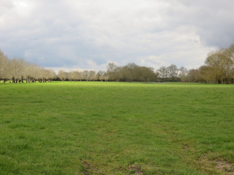 Partons découvrir le bocage et les prairies inondables