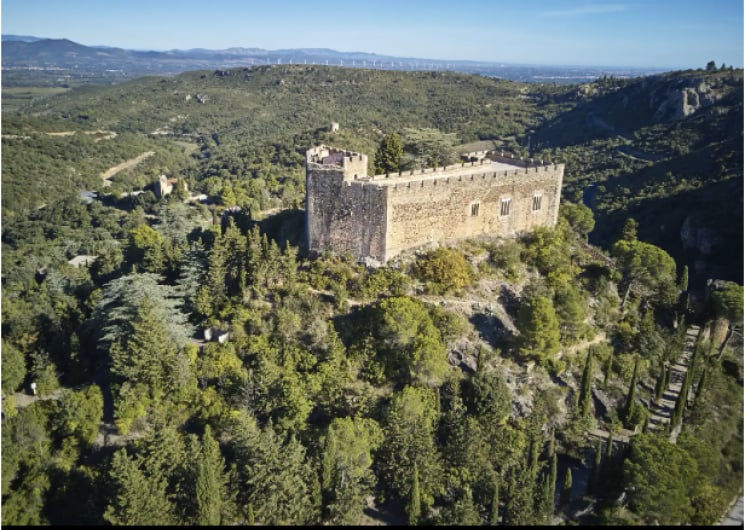 CHÂTEAU DE CASTELNOU