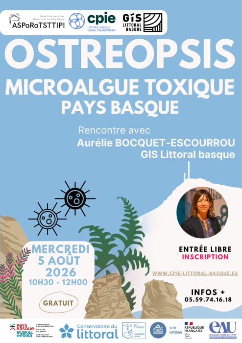 Ostréopsis : microalgue toxique en Pays Basque - Rencontre avec Aurélie Bocquet-Escourrou