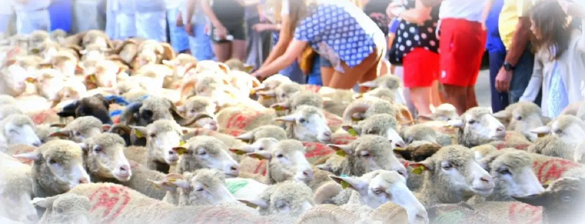 Fête de la Transhumance