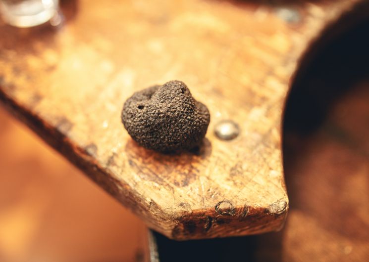 MARCHÉ AUX TRUFFES & PRODUITS DE L’AUDE