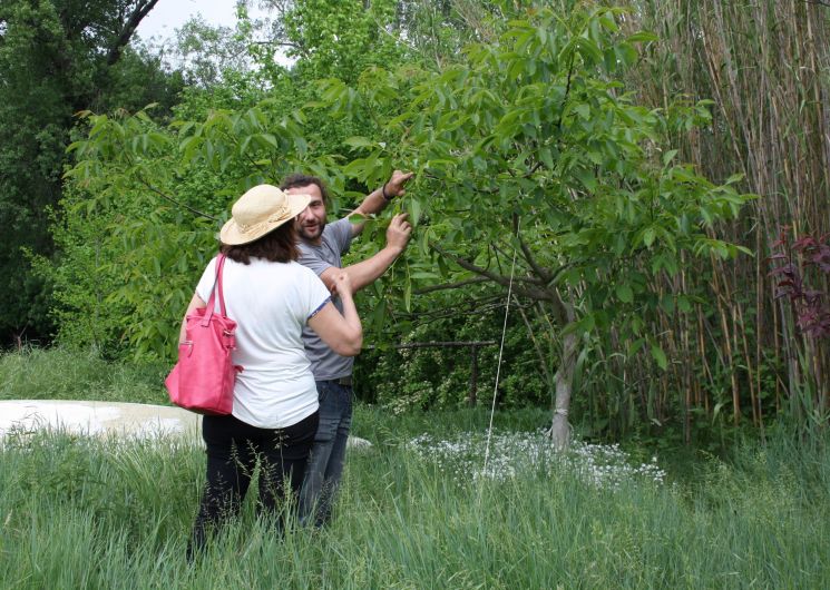 Visite du Jardin