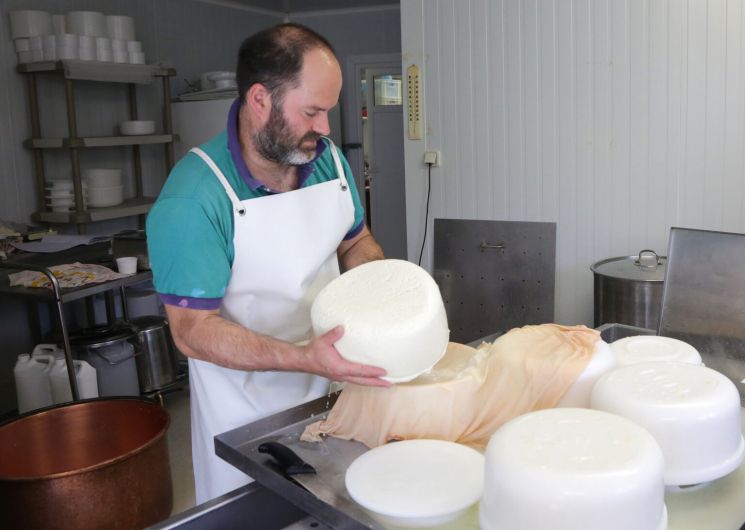 Découverte d’un élevage et goûter fromager en trottinette électrique