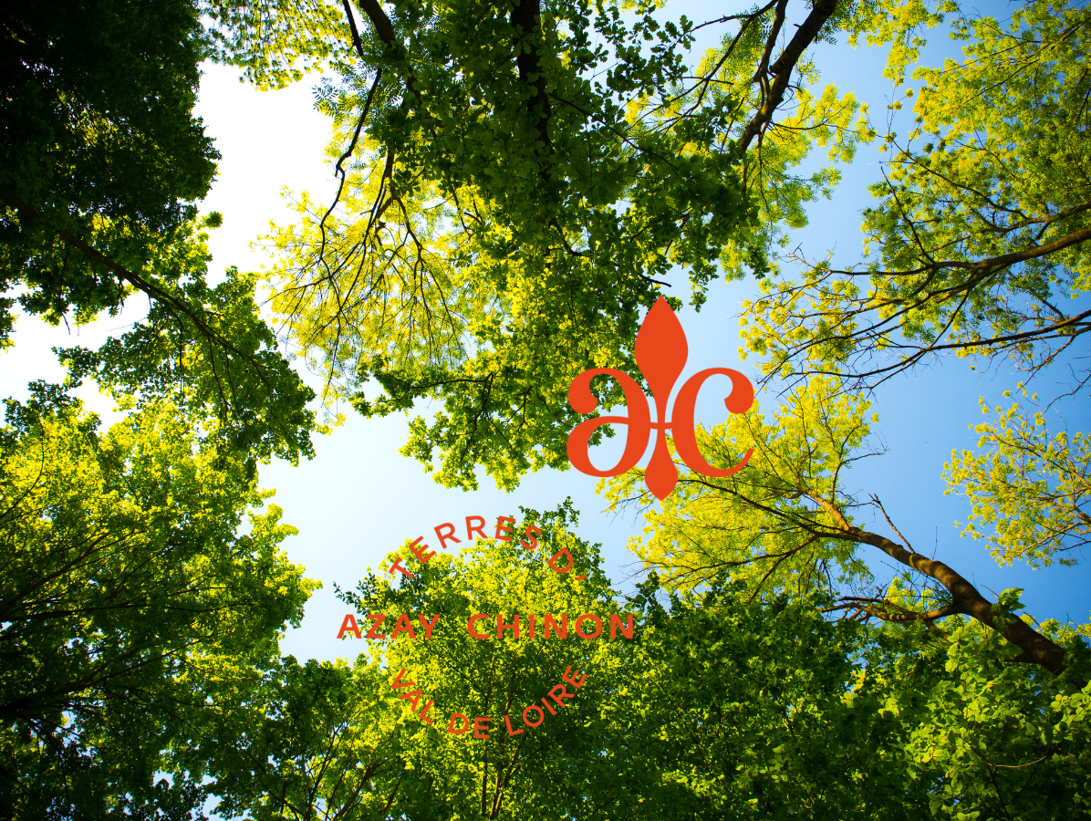 Fête des plantes - Château de l'Islette