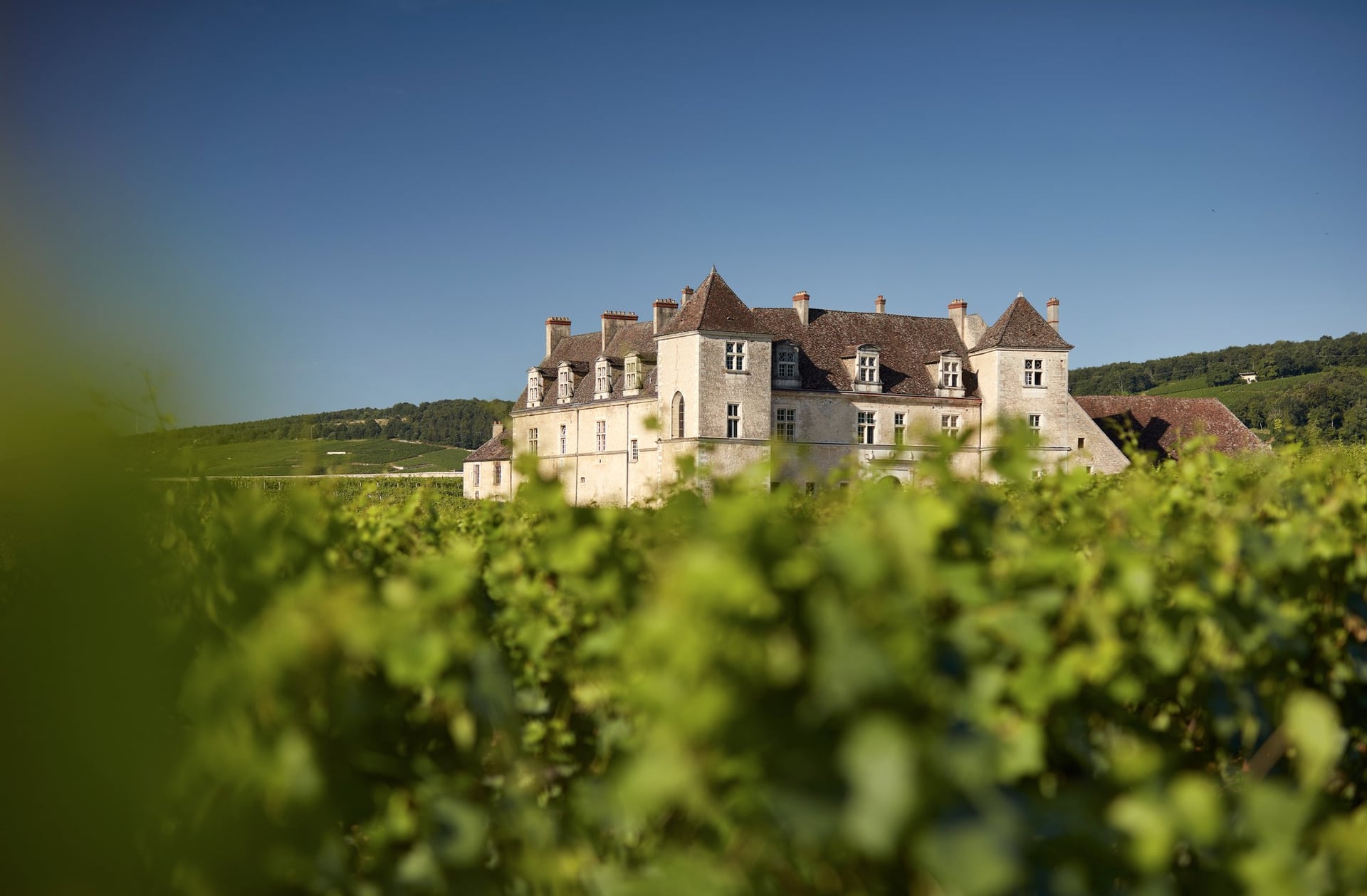 Journée Européenne du Patrimoine au Château du Clos de Vougeot