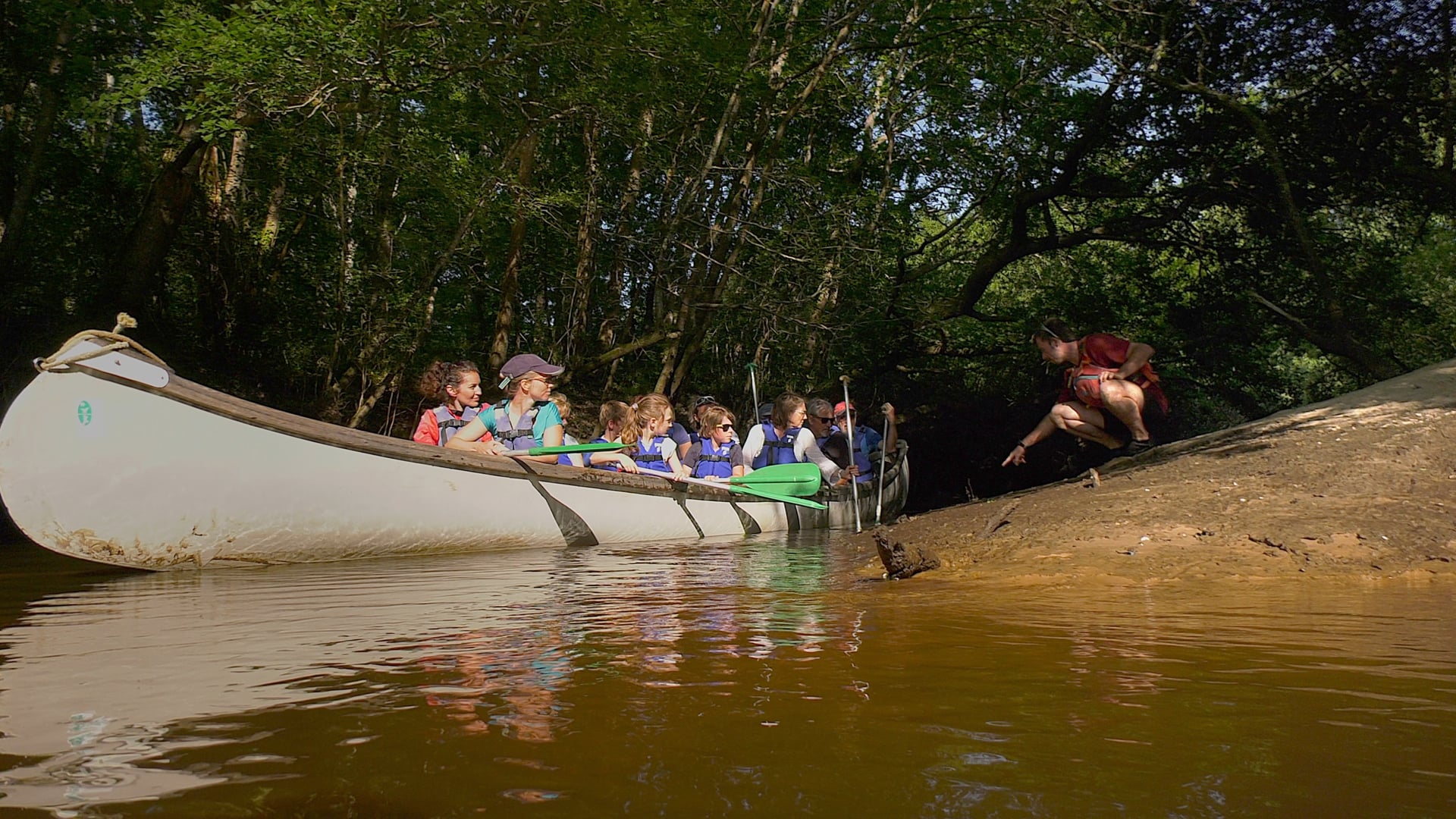 Balade guidée en canoë collectif sur la Leyre Départ Réserve Ornithologique
