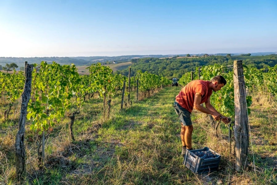 Atelier dégustation : Vallée de la Garonne et affluents