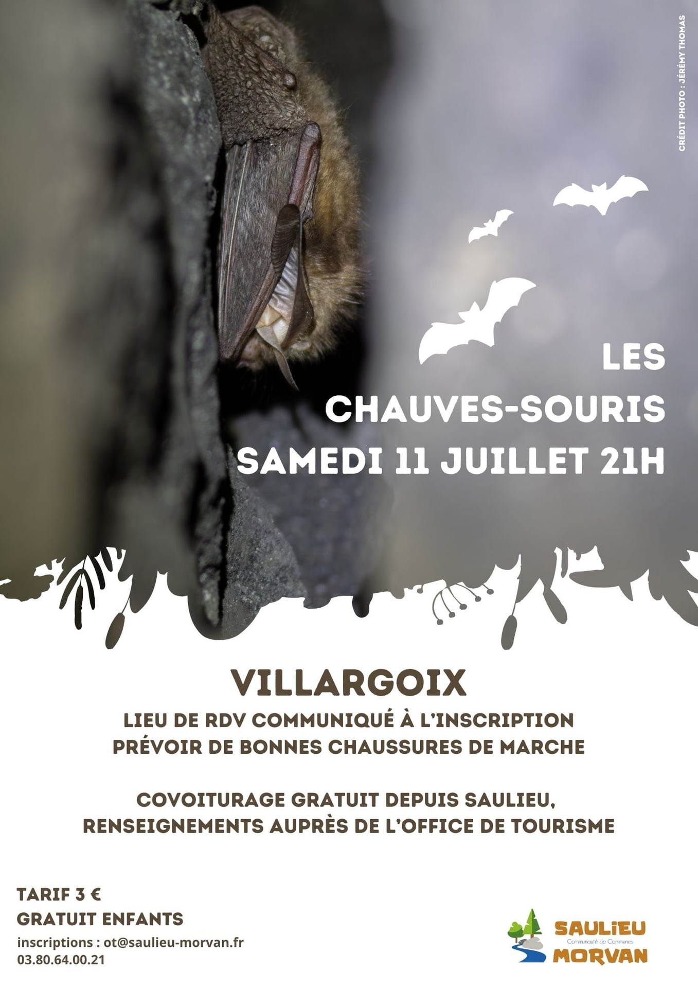 Sortie nature "A la rencontre des chauves-souris"