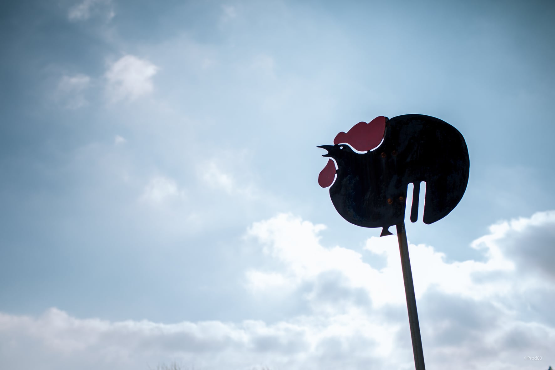 La vie secrète des plantes / Balade Famille