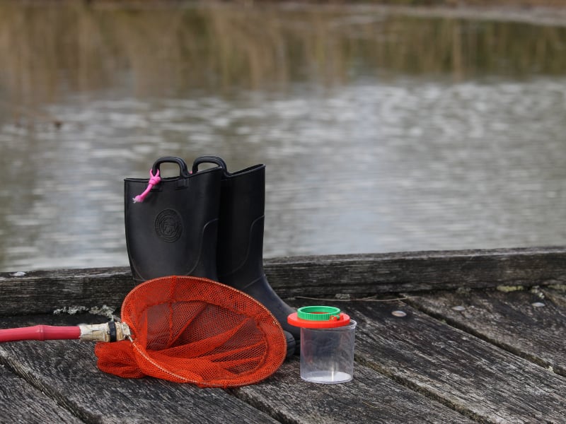 A la découverte de la mare à Terres d'Oiseaux