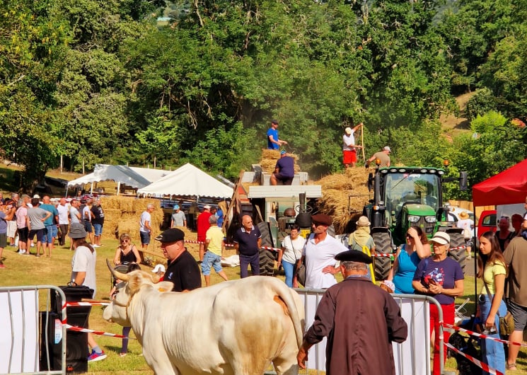 Foire de la Madeleine