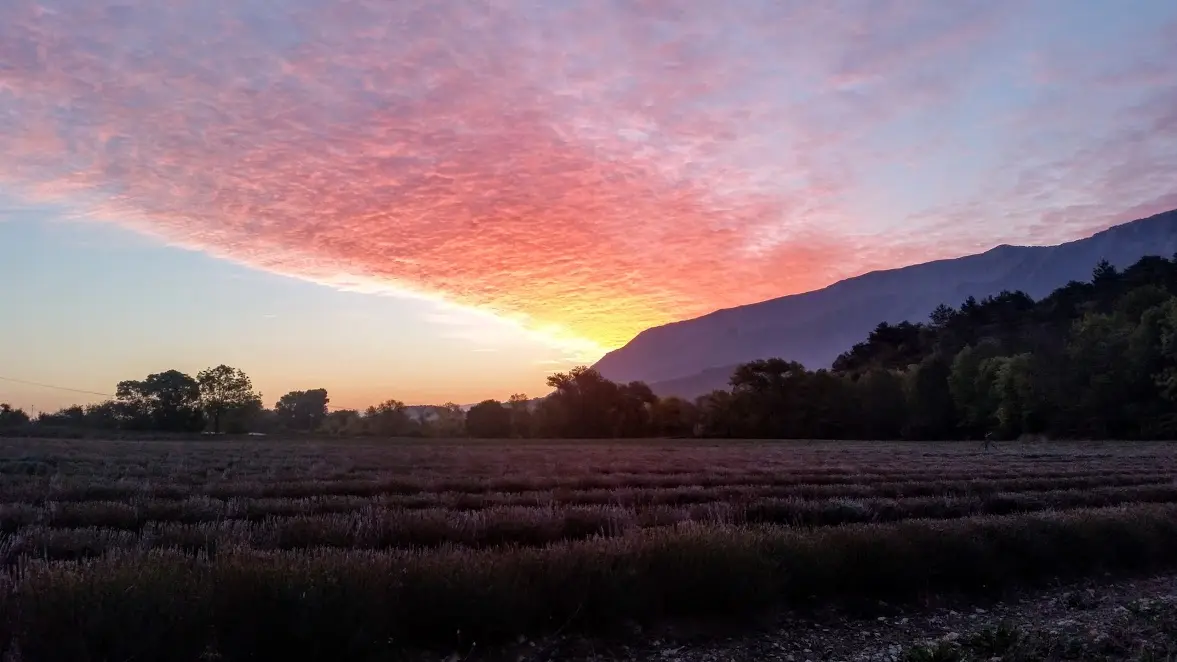 Soirée astro et lavande - Lavanderaie des Hautes Baronnies