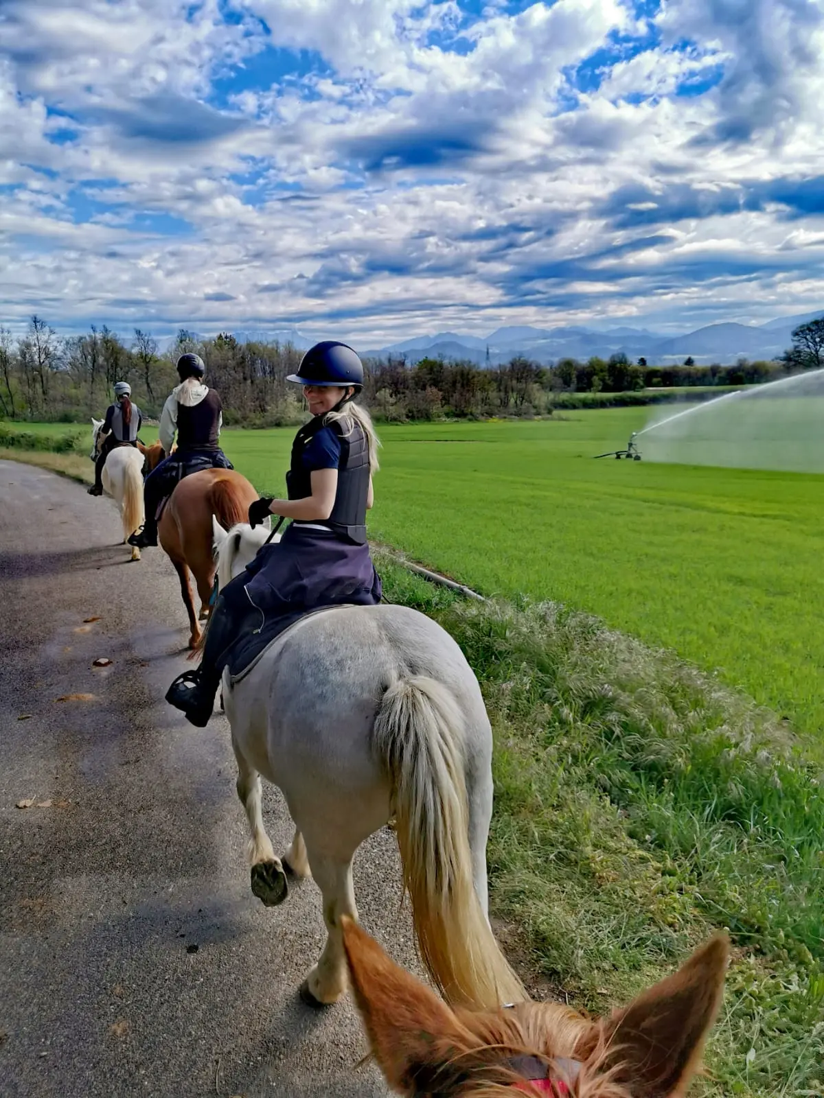 Stage randonnée - Ferme équestre du Grand Bois