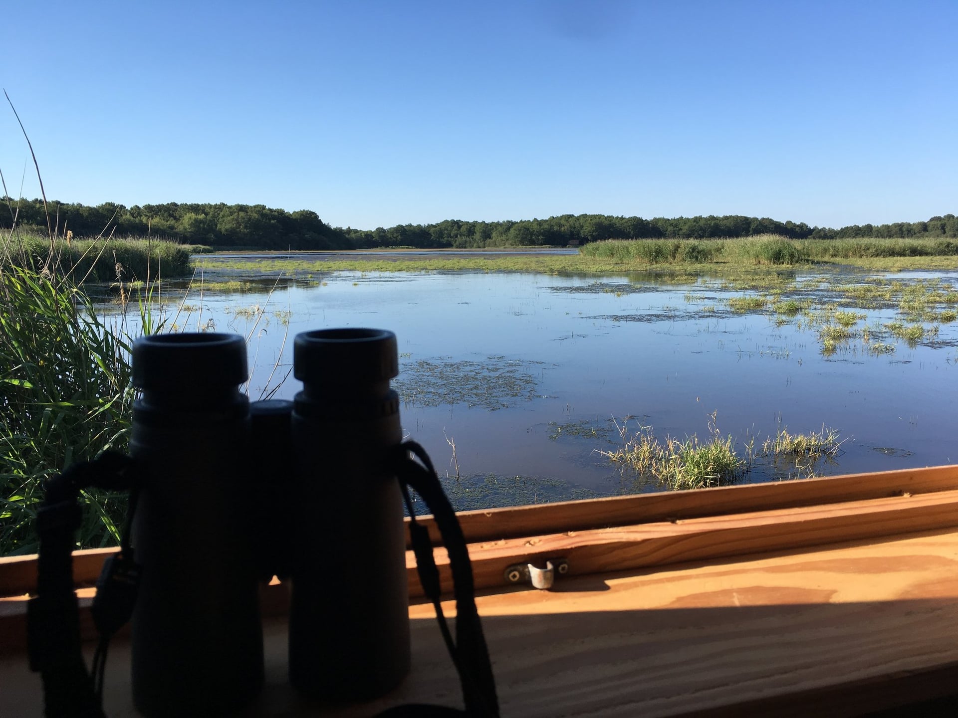 Instants Nature - Malzoné, aux couleurs du printemps