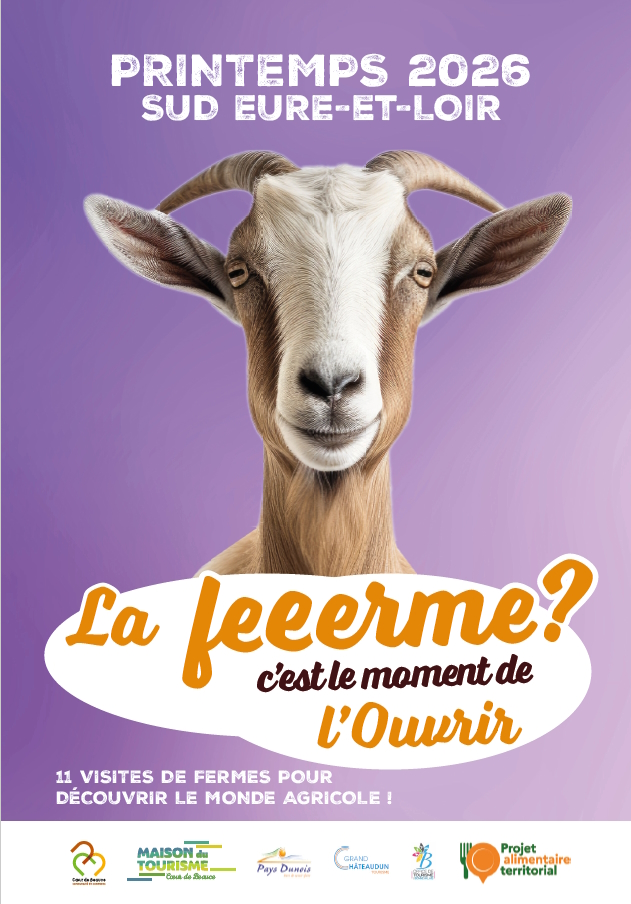 Visite de ferme – Les Ruches de Beauce