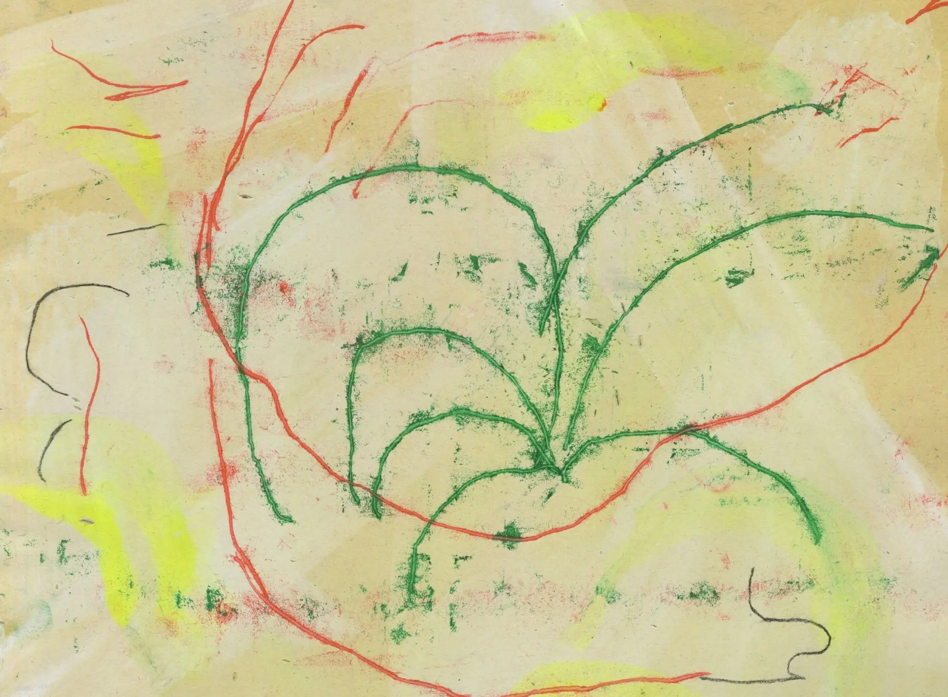 Les fleurs d'Yto - exposition de Bonnefrite