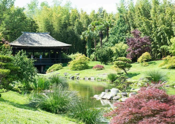Exposition : “Arts & Nature”
