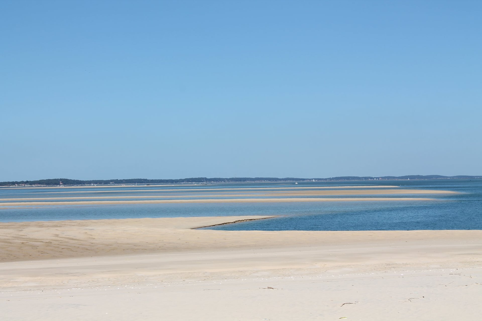 Visite guidée en kayak