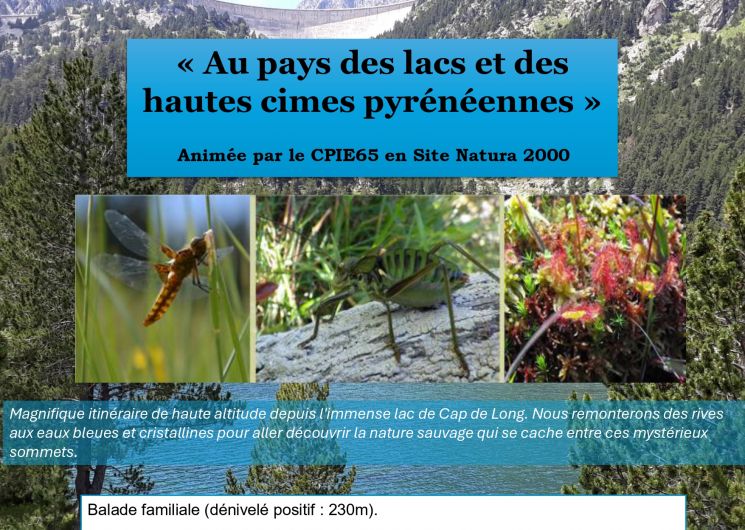Sortie Nature avec CPIE 65 en Site Natura 2000 – Au pays des Lacs et Hautes cimes pyrénéennes Cap de Long
