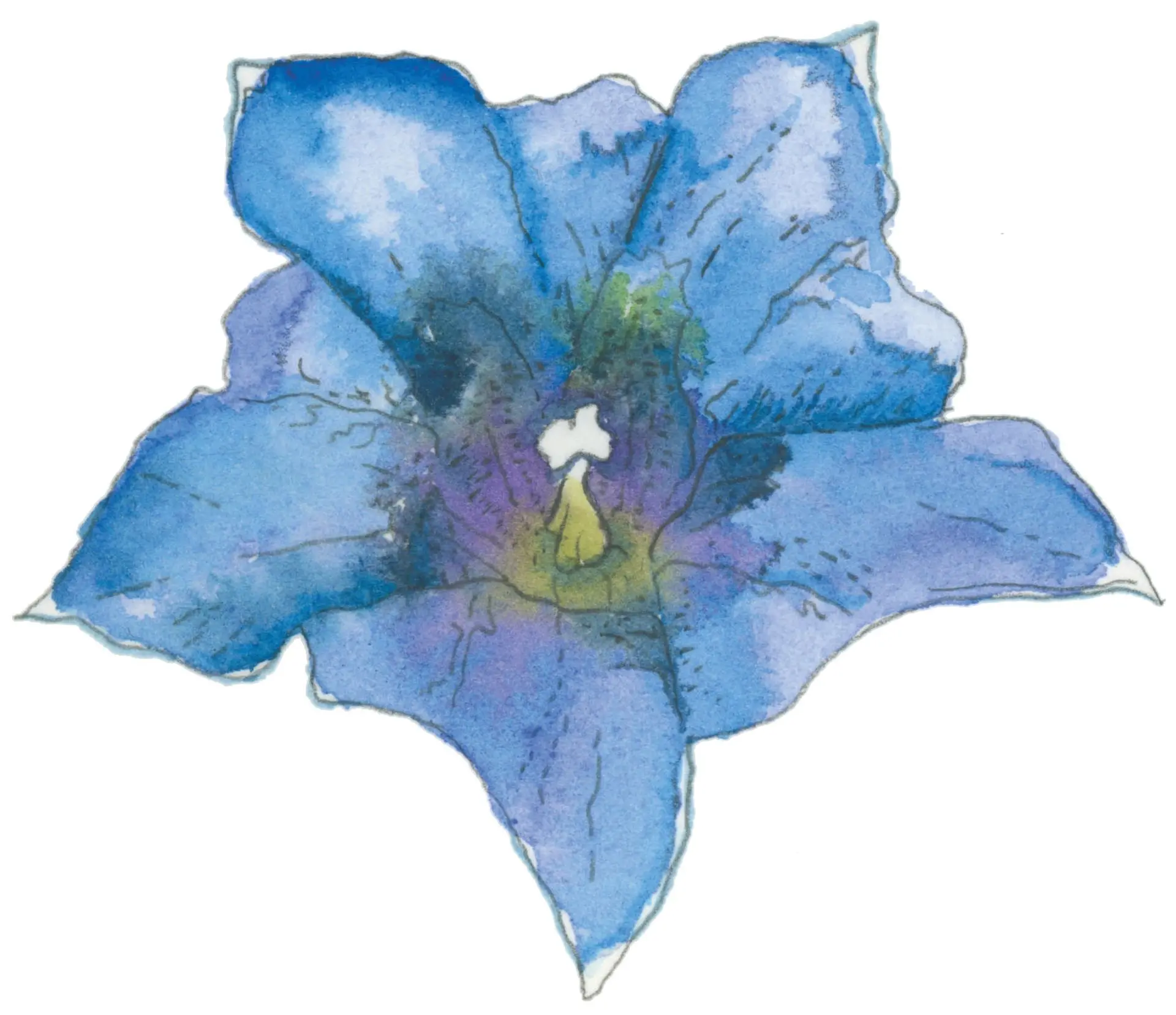 Atelier de dessin et aquarelle pour enfants