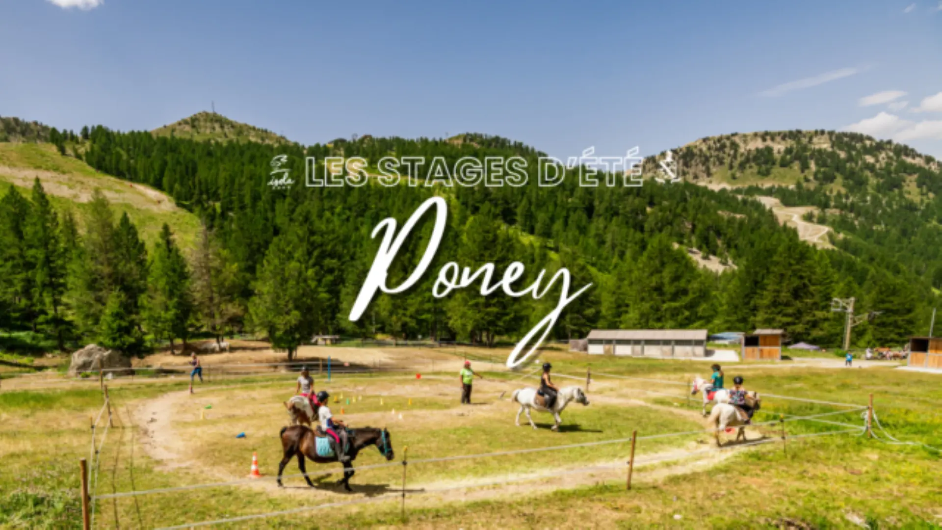 Stage poney