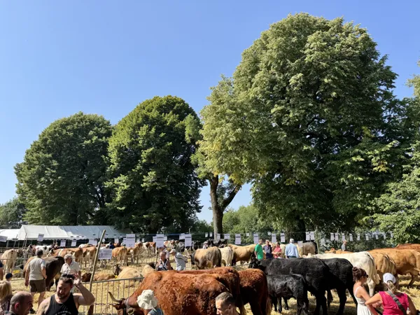 Fête de l'élevage à Mur-de-Barrez