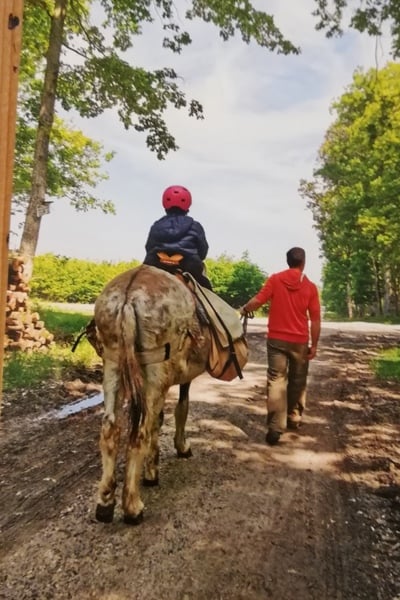 Randonnée accompagnée, 3 jours avec un âne, SPECIALE FAMILLE avec enfant