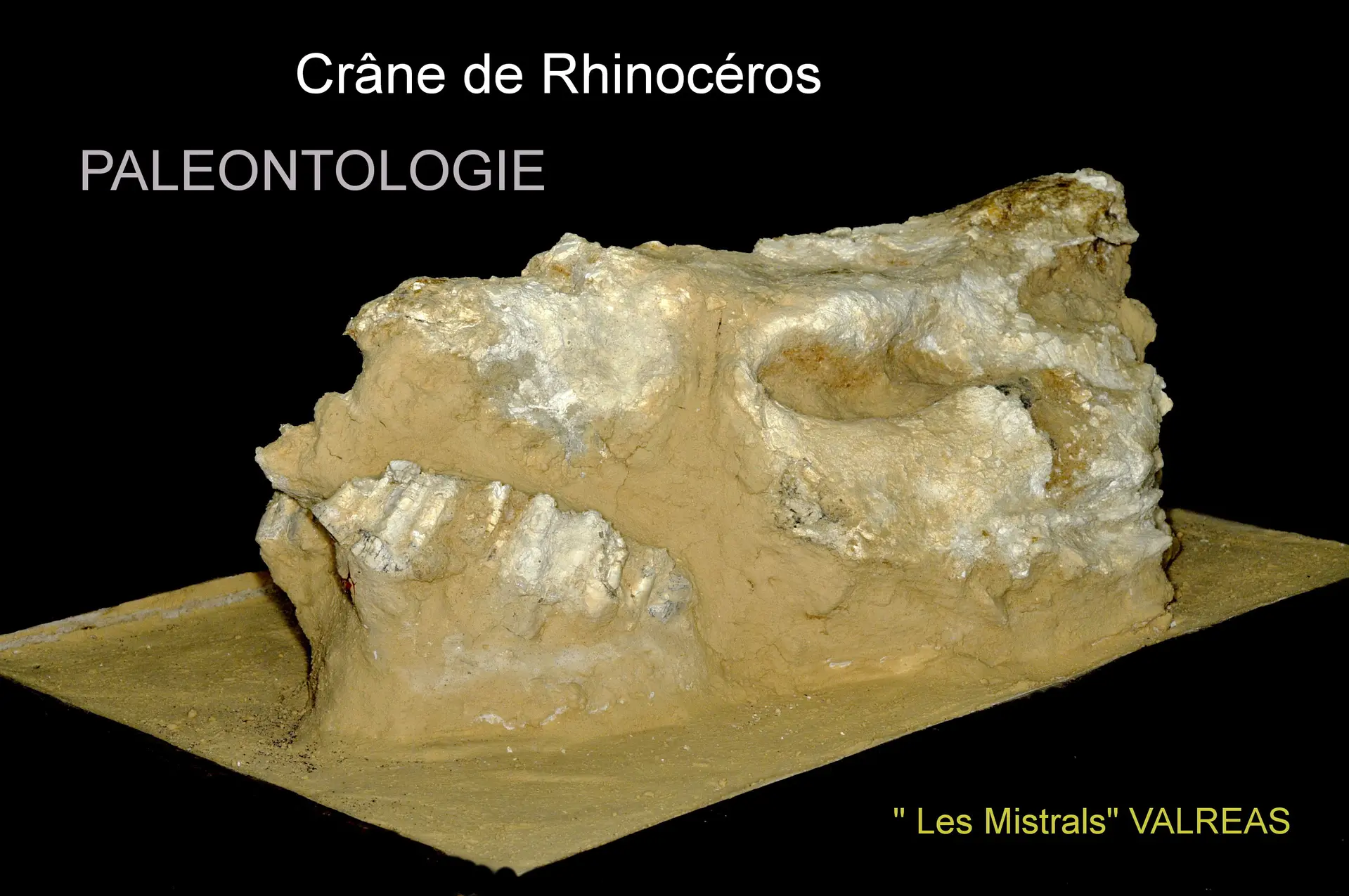 Journée européennes de l'archéologie