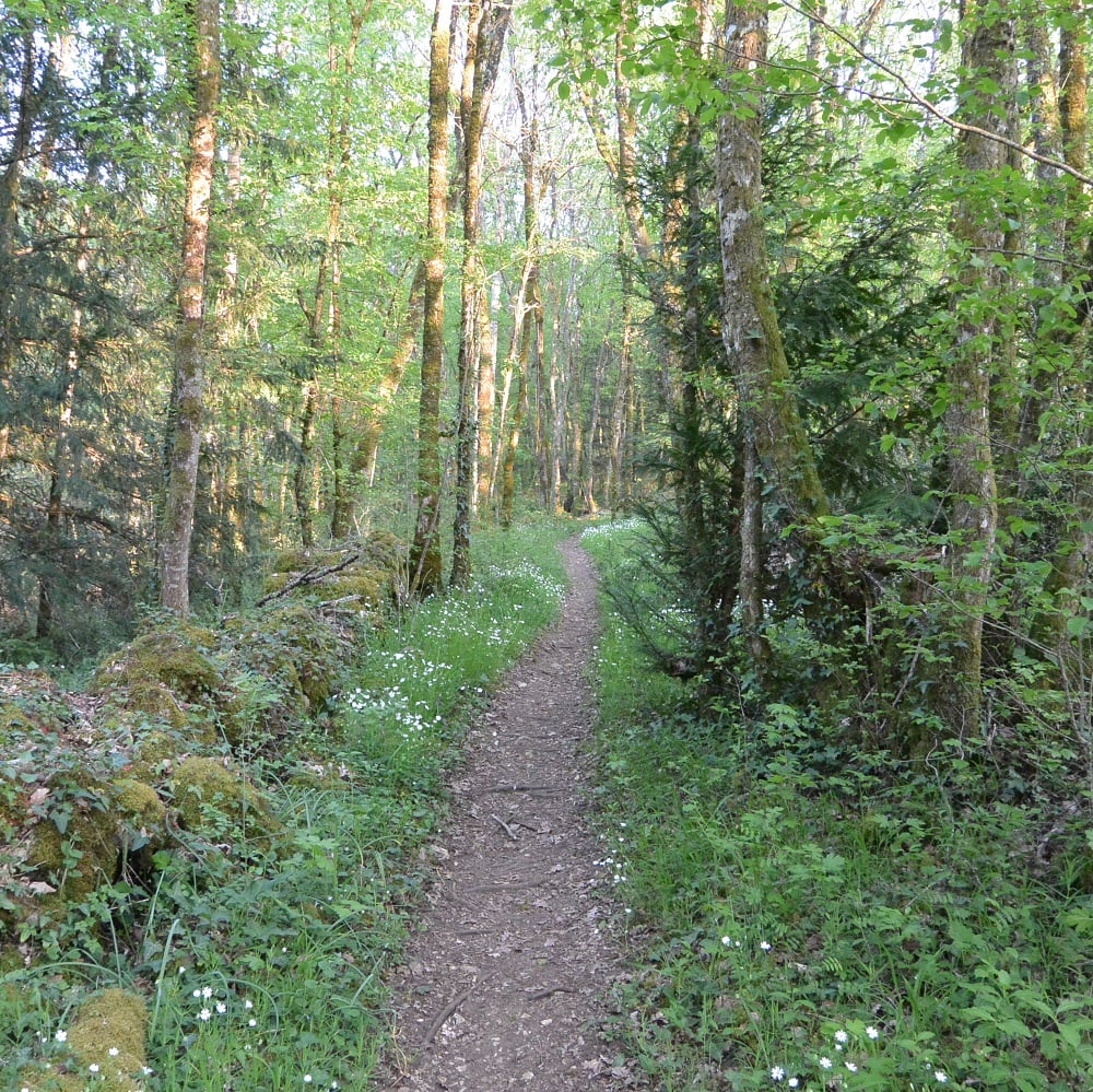 Rando Pas-Cap - VTT, cyclo et marche