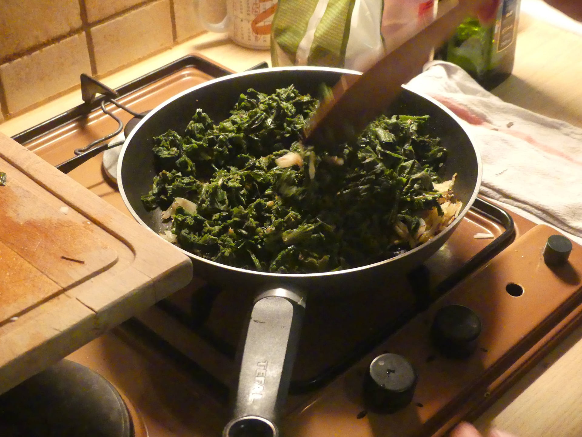 Cuisine sauvage, cueillette et dégustation