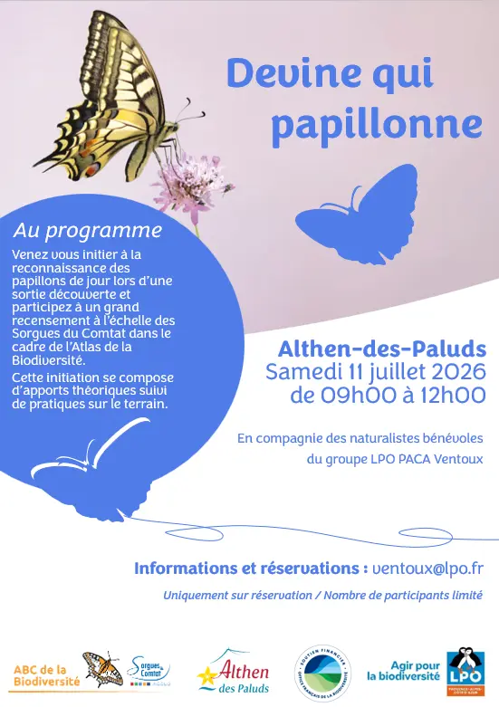 Devine qui papillonne au jardin ?