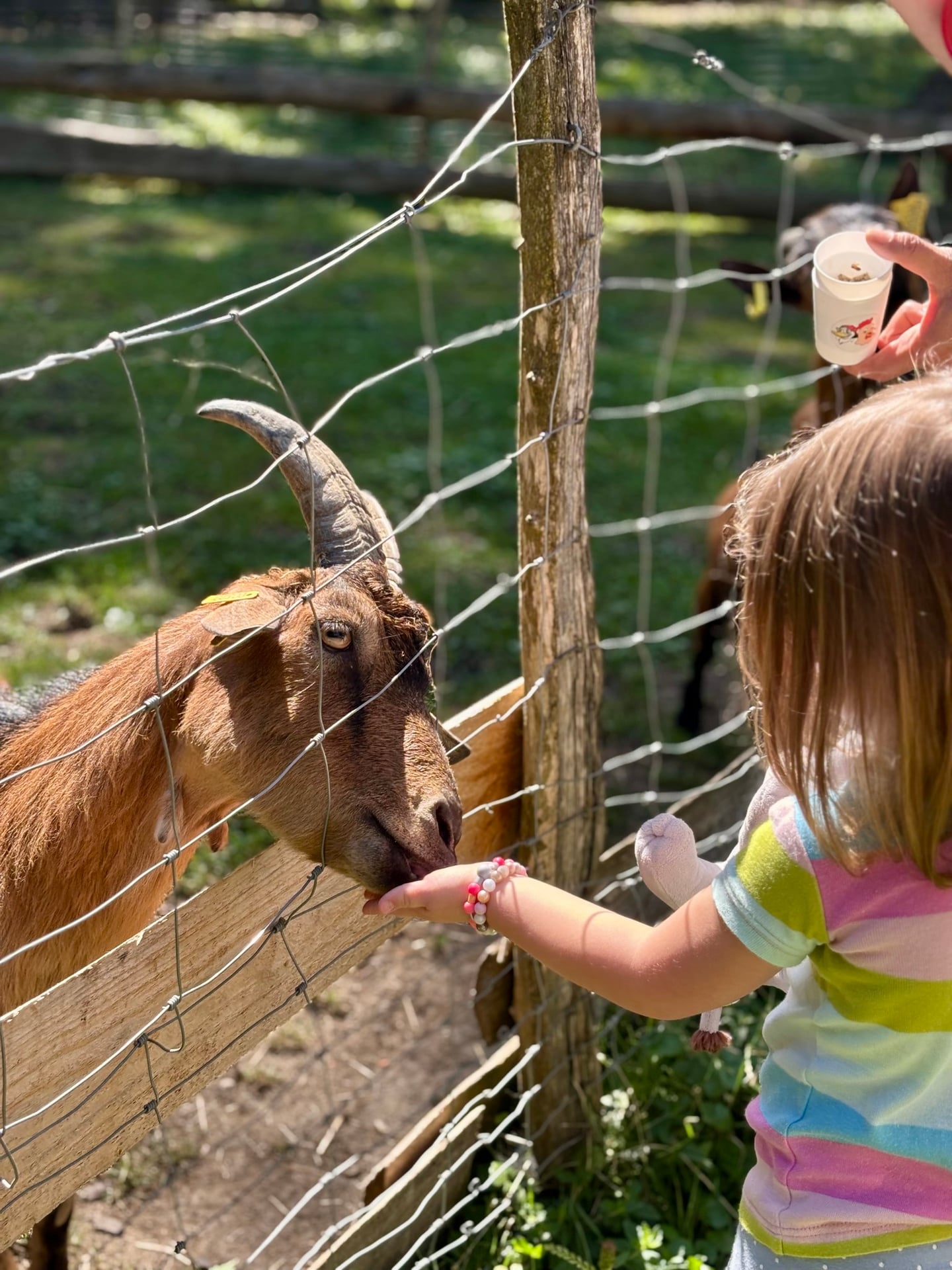 Vacances D'été à Lama Loisirs