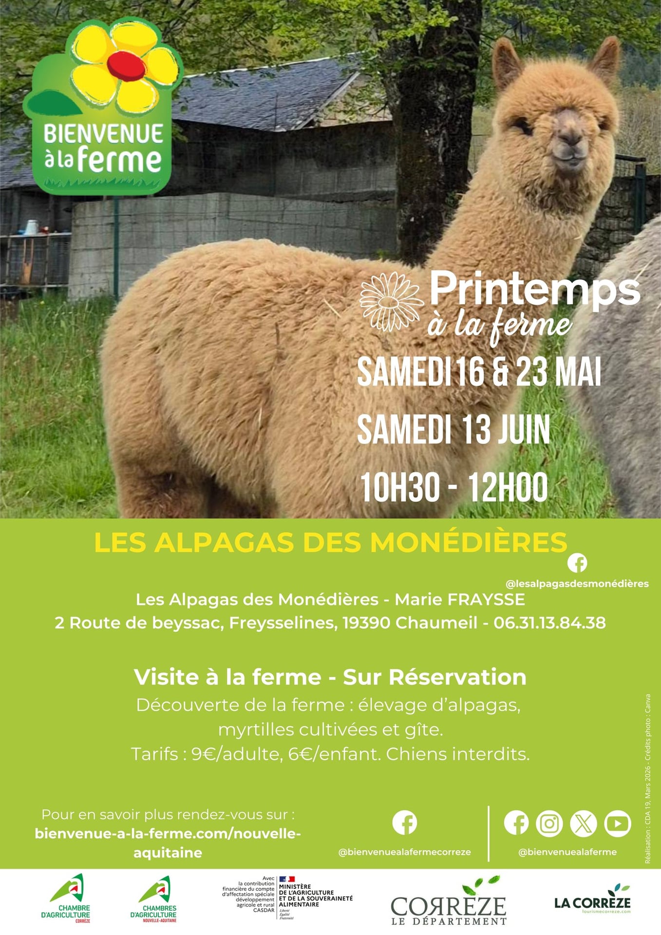 Printemps à la ferme - Les Alpagas des Monédières