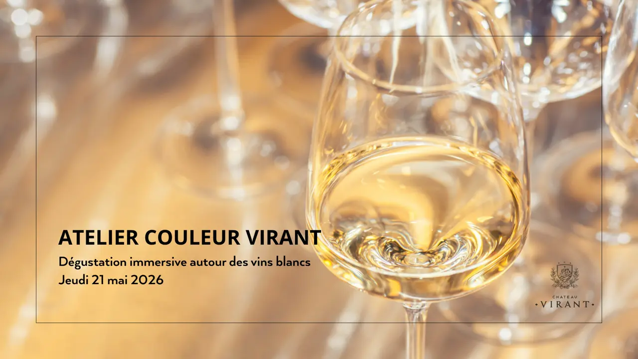 Château Virant - Dégustation des vins blancs du domaine